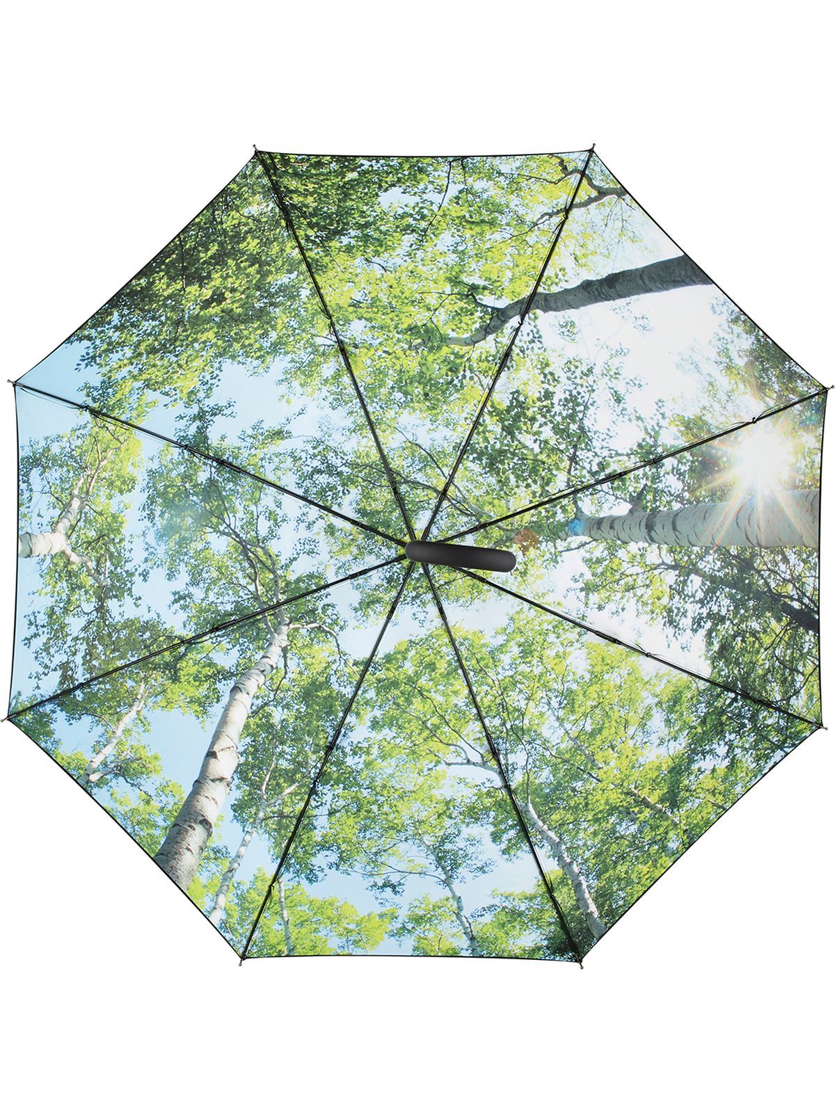 black-forest design